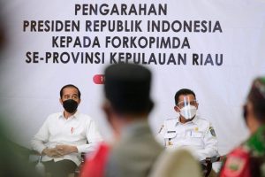 Ansar: Presiden Jokowi Merespon Baik untuk Pembangunan Jembatan Batam-Bintan