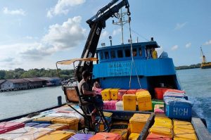Bupati Bintan Tanggap, Kapal Ekspor Perikanan Kembali Beroperasi ke Singapura