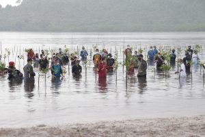 Jokowi: Indonesia Memiliki Hutan Mangrove Terluas di Dunia