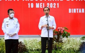 Presiden Jokowi Bakal Menanam Mangrove di Kepri dan Riau, Cek Agenda Lengkapnya