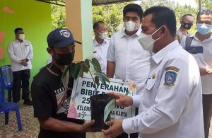 Ansar Ahmad Ingin Mewujudkan Agrowisata di Bintan, Pemprov Bantu 2.000 Bibit Durian ke Petani