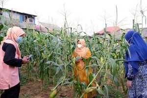 Pesan Rahma buat KWT, Manfaatkan Lahan Terbatas untuk Pertanian