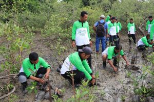PT Timah Karimun Akan Menanam 5.000 Mangrove di Kundur, Cek Misinya