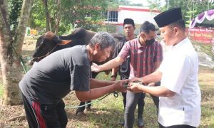 Polda Kepri dan Jajaran Sembelih 90 Ekor Hewan Kurban, Polres Bintan Menyediakan 300 Kupon