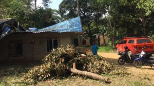 Bencana Alam Lagi, Rumah Warga Desa Penaga Ditimpa Pohon Tumbang
