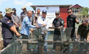 Taba Iskandar Panen Kerapu Cantang di Pulau Akar, Gubernur Kepri Menitip Paket Sembako