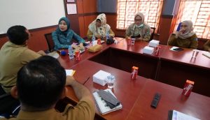 Rakor Pokjanal Posyandu, Hafizha: Ada 28 Posyandu Remaja di Bintan