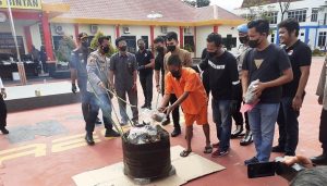 Polres Bintan Memusnahkan Belasan Kilogram Ganja dari Aceh