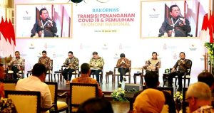 Terbaik di Luar Jawa-Bali, Ansar Ahmad Memaparkan Strategi Penanganan Covid-19 dan PEN di Depan Para Menteri