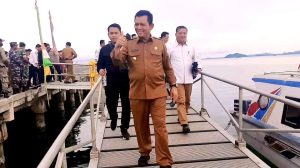 Gubernur Kepri Meresmikan Dermaga Apung Senilai Rp2,25 Miliar di Sedanau