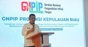 Gubernur Kepri Meresmikan Kampung Cinta Bangga Paham Rupiah di Lingga