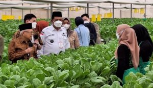 Wapres RI dan Ansar Ahmad Meninjau Pusat Pertanian Modern, Ma’ruf Amin: Manfaatkan Peluang Pasar Singapura