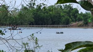 Jelang Kunjungan Wapres ke Bintan, Penambang Pasir Ilegal Berseliweran