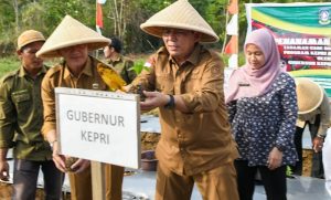 Ansar Ahmad Tanam Cabai dan Menyalurkan Bantuan Pertanian di Gerbang Utara NKRI
