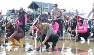 Kapolri di Labuan Bajo, Polres Bintan Tanam 1.100 Bibit Bakau di Pantai Lohoa Kawal