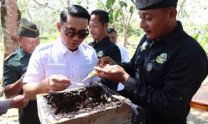 Ahdi Muqsith Menikmati Madu Kelulut di Taman Wisata Edukasi Gudem Bee Farm Gunung Demit