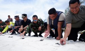 Pulau Mapur Menyimpan Pesona Wisata Bahari, Bisa Melepas Tukik ke Pantai