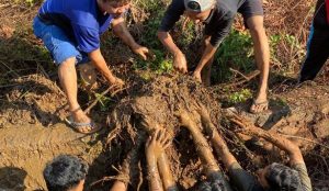 Desky Daswara, Ketua RT yang Suka Bermain Lumpur Parit