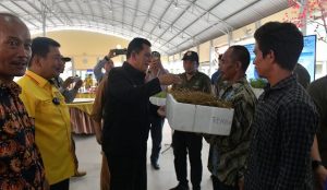 Gubernur Kepri Bantu Rumah Jaga Tambak Udang hingga Budi Daya Rumput Laut buat Nelayan Kota Batam
