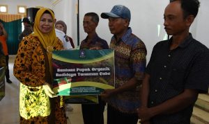 Gubernur Kepri dan Hj Dewi Kumalasari Menyerahkan Bantuan dan Sertifikat Tanah kepada Masyarakat Lingga