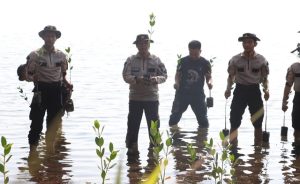 HUT Ke-72 Humas Polri, Polres Bintan Menanam Mangrove dan Buah-buahan