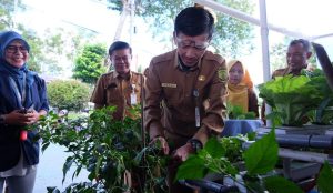 Pj Wako Tanjungpinang Dorong Pemanfaatan Sorgum sebagai Alternatif Pangan Berkualitas