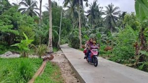 Cen Sui Lan Mempercantik Jalan Desa Sungai Ulu dan Sepempang Natuna
