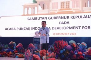 Gubernur Kepri Mendukung PT Dirgantara Indonesia untuk Pengembangan Pesawat N219 dan N219 Amphibious