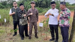 Usai Dilantik KPU, 3.472 Petugas KPPS di Bintan Langsung Menanam Ribuan Bibit Pohon