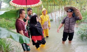 Data Akhir BPBD Bintan tentang Warga Terdampak Bencana Alam Akibat Hujan Deras