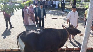 Polres Bintan Menyembelih Tiga Sapi dan Seekor Kambing