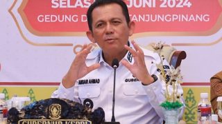 Ini Alasan Ansar Ahmad Ngotot Memperjuangkan Short Term Visa on Arrival Diterapkan di Kepri