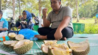 Sabtu Ini, Nikmati Pesona Gunung Bintan Nyambi Durian Party