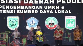 Peduli Pengembangan UMKM, Bupati Bintan Dianugerahi Penghargaan Nasional