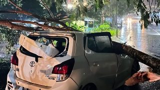 Bencana Melanda Pulau Bintan dan Batam, Ada Mobil Tertimpa Pohon di Tanjungpinang