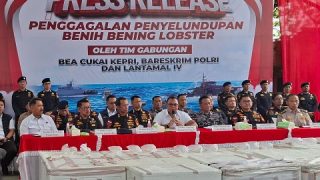 DJBC Karimun Bersama Polri dan Lantamal IV Menggagalkan Penyelundupan Benih Bening Lobster