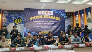 DJBC Kepri dan Tim Gabungan Menggagalkan Penyelundupan Benih Lobster Senilai Rp19,2 Miliar