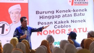 Ada yang Ragu, Ansar Ahmad Justru Optimis Pembangunan Jembatan Batam-Bintan Terwujud