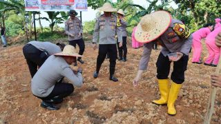 Dukung Program Asta Cita, Kapolres Bintan Laksanakan Penanaman Perdana 2000 Bibit Jagung