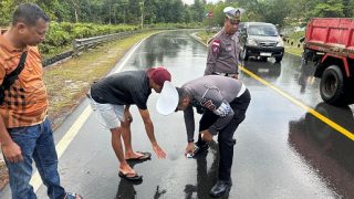 Truk Pengangkut Ayam Tabrakan, Begini Nasib Pasangan Suami Istri Pengendara Sepeda Motor