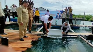 Bupati Bintan Menyerahkan 40 Ribu Ekor Benih Kerapu Cantang dan 1.500 Teripang di Mantang