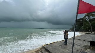 Waspada! Seekor Buaya Besar Muncul di Pantai Hotel Bintan Pearl Beach, Begini Imbauan Polisi