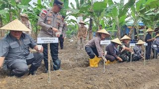 Polres Bintan Menyediakan 8 Hektare Lahan Usaha Tani Jagung untuk Swasembada Pangan Nasional