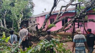 Pohon Tumbang Menimpa Rumah Warga Gunung Lengkuas, Polisi Turun Tangan