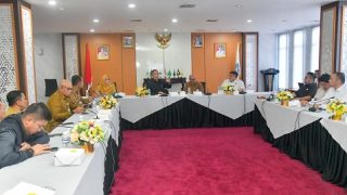 Legal Standing Belum Tuntas, Wagub Kepri Mendorong Kepastian Hukum Pengelolaan FTZ