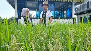 Aksi Nyata Bendahara PWI Kepri buat Ketahanan Pangan Nasional Bikin Kagum Kadis KP2KH