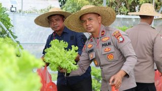 Polres Bintan Panen Sayur dari Media Hidroponik