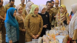 Wabup Bintan Deby Maryanti Mengapresiasi Produk Pelaku UMKM