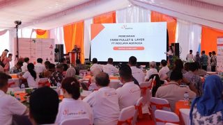 Farm Pullet PT Indojaya Agrinusa di Bintan Bakal Memproduksi 360 Ribu Telur Per Hari
