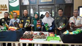 Karantina Kepri dan Bea Cukai Mengamankan 10.647 Ekor Kuda Laut Kering, Pelakunya Warga Mesir